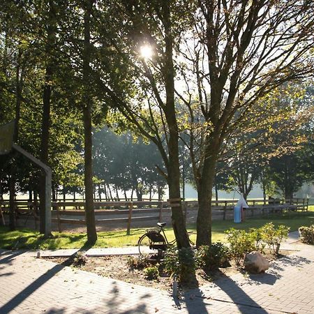 Hoeve Blitterswijk Scheerwolde エクステリア 写真