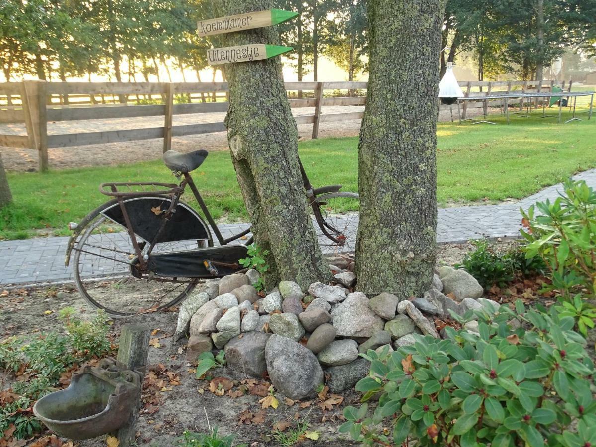 Hoeve Blitterswijk Scheerwolde エクステリア 写真
