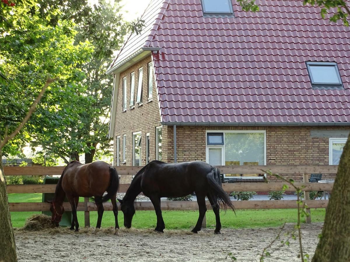 Hoeve Blitterswijk Scheerwolde エクステリア 写真