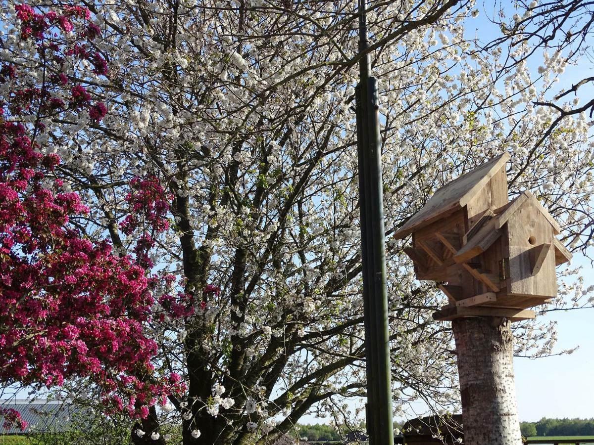 Hoeve Blitterswijk Scheerwolde エクステリア 写真